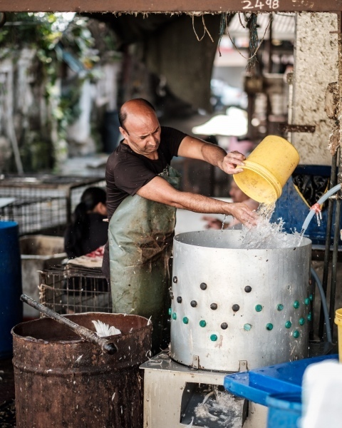 George Town, Penang, Malaysia