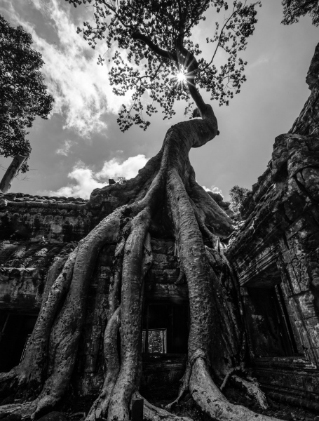 Angkor, Cambodia