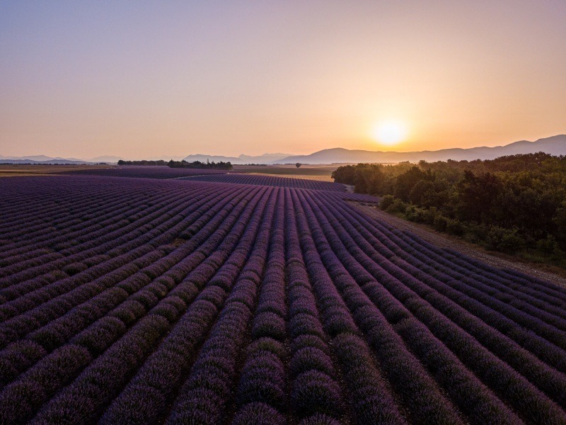 Valensole, France