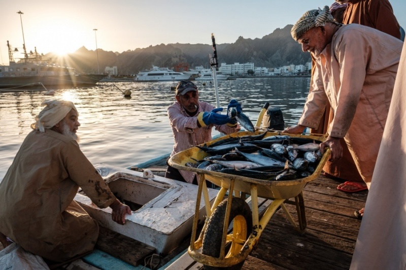 Muttrah Fish Market, Muscat