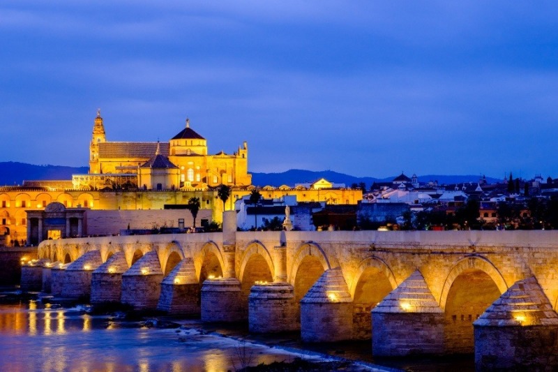 The Roman Bridge and Cathedral, Cordoba