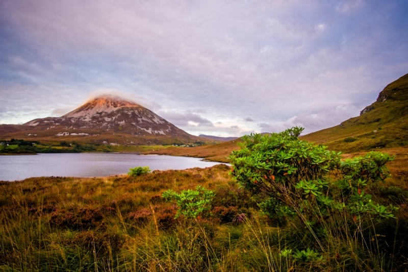 Mount Errigal, Dorset