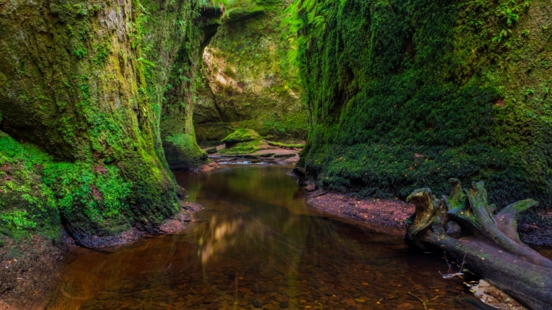 Finnich Glen, Scotland