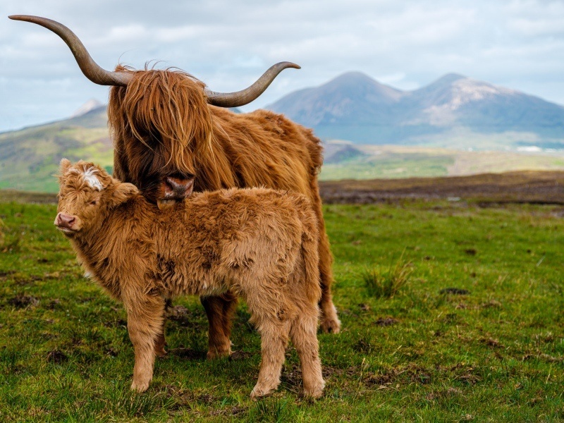 Isle of Skye