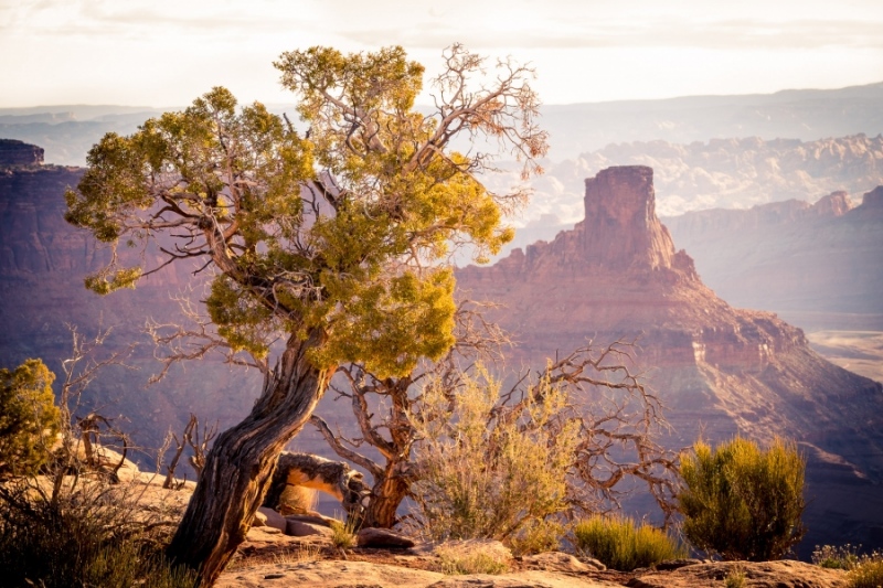 Dead Horse Point State Park, UT