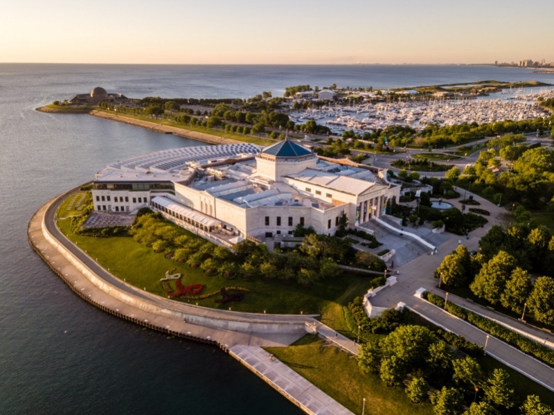Shedd Aquarium, Chicago, IL